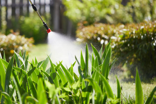 24/7 Emergency Fumigation Services experts in Center Line, MI