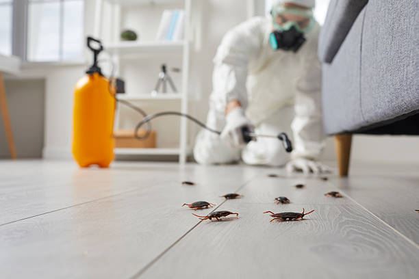 Trusted Termite Control service in Center Line, MI - Nex Pest Control