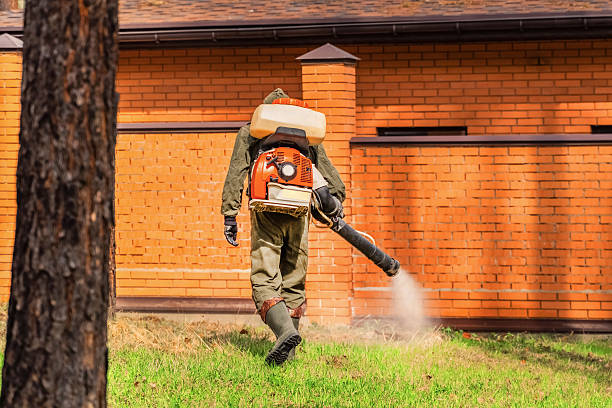 Trusted Bed Bug Control service in Center Line, MI - Nex Pest Control